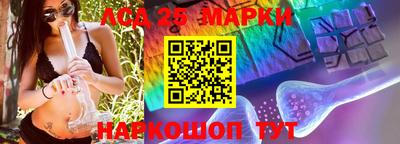 ПСИЛОЦИБИНОВЫЕ ГРИБЫ Бердск