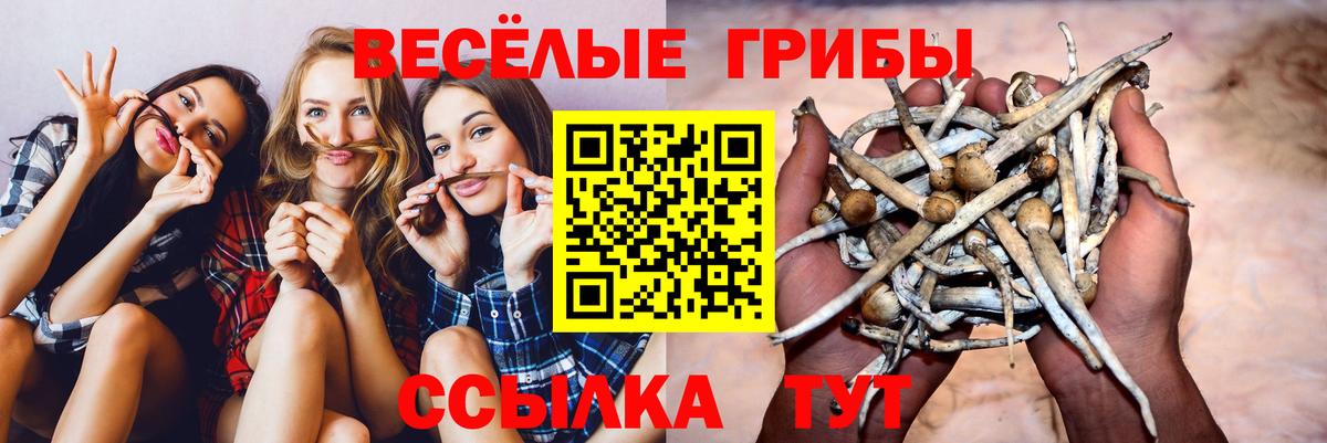 Баксан  Галлюциногенные грибы мухоморы  Вход с VPN 